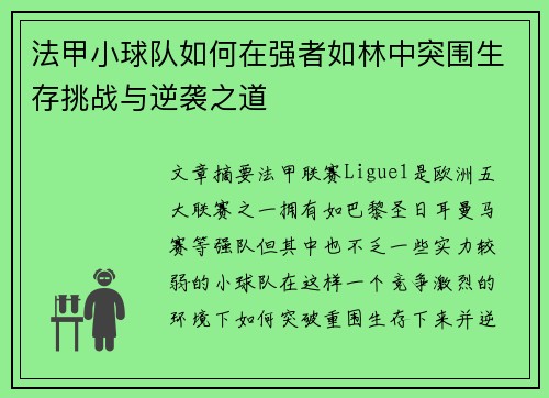 法甲小球队如何在强者如林中突围生存挑战与逆袭之道