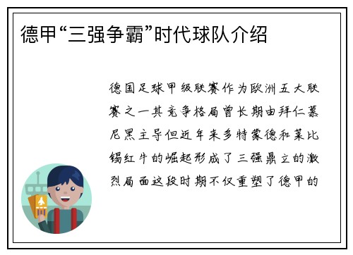 德甲“三强争霸”时代球队介绍